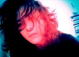 phocks