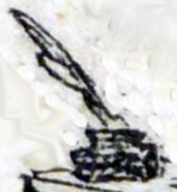 the-odd-inkwell