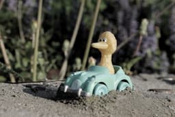 kevin-mann