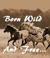 wild-girl
