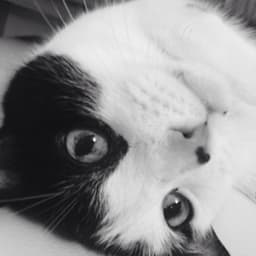 delia-smith