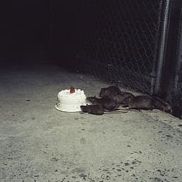 the-loner