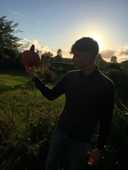 tom-peace
