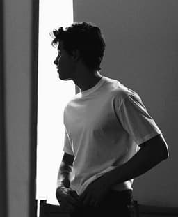 shawnmendes
