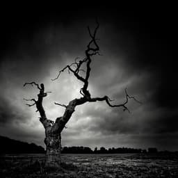 tenebrame