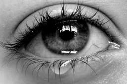 tear-drop