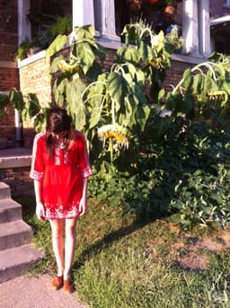 june-west