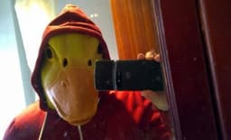duck