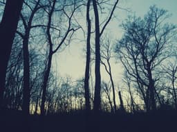 A_Skylight