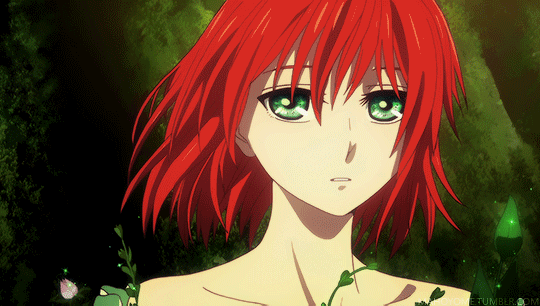 senpaimoon