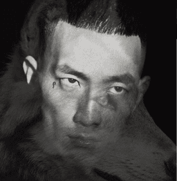 teriyakimandi