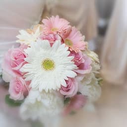 rosedd