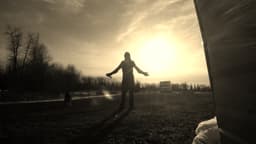 Desolatejovial