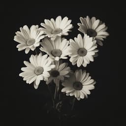 xdaisy