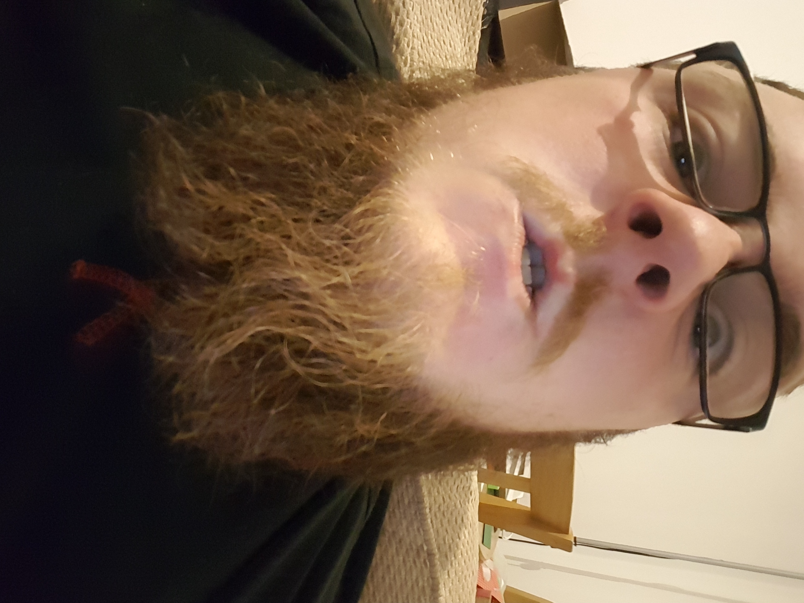 kyle-chewie-insch