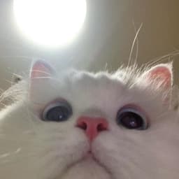 notsunshine