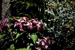 smbn0702