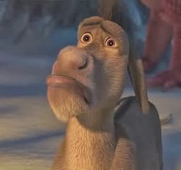 Saddonkey