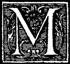 mg-3