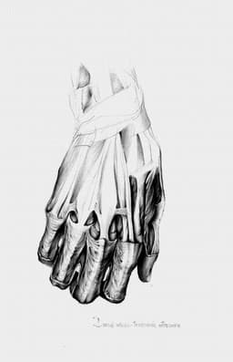 m-7
