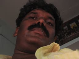 dev-pitta