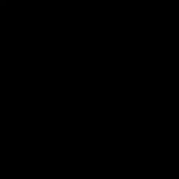 shani-jonas