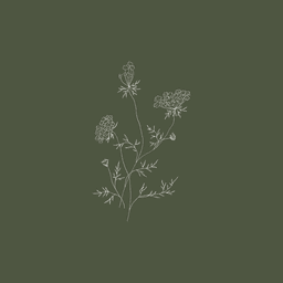 JasmineB