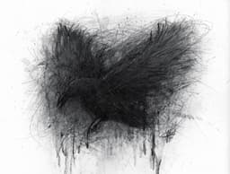 grim-raven