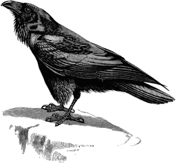 johnvenghighos