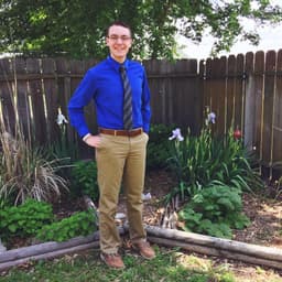 dalton-steinert