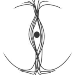 caloris