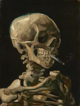 bonycigarettes