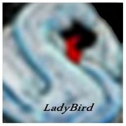 LadyBird
