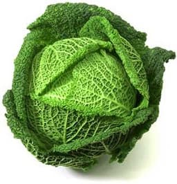 muff-cabbage