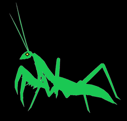 Crooked_Mantis