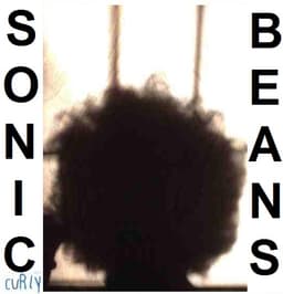 beans-1