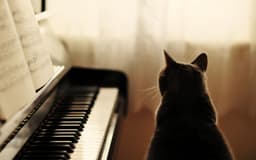 ezzah-saleem