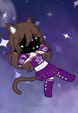 MidnightTheBlackCat