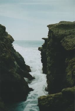 junebreeze