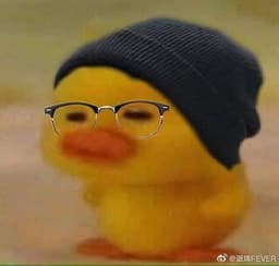 Dammie