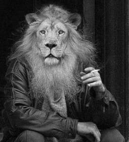 lioninsunheart