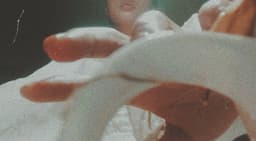 janettealvez
