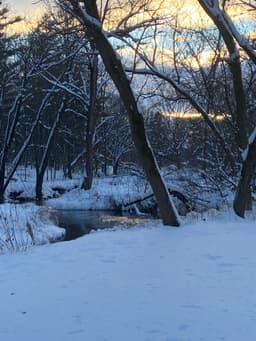 winter-gray