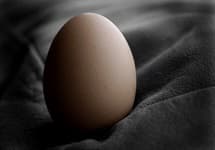 eggore