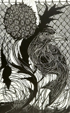 raven-5