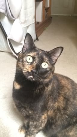 callie-m