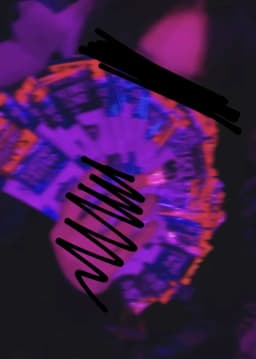 xlovzxx