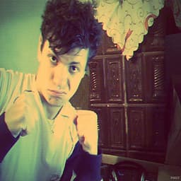 lynxo