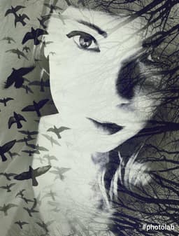 nicole-ann-osborn