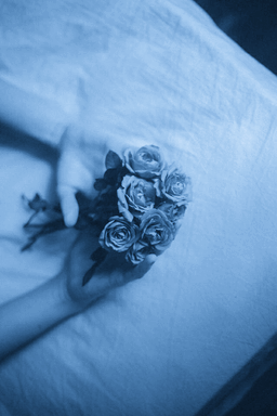 BlueWallflowerr